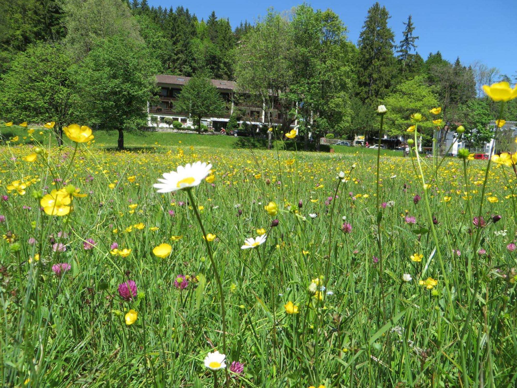 Hotel Ruchti - Zeit Fuer Mich Füssen المظهر الخارجي الصورة